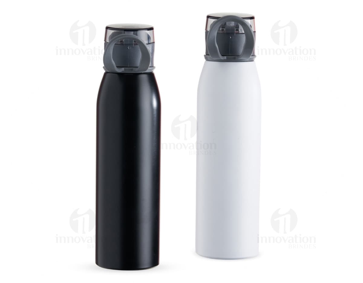 Garrafa Inox 650ml na cor prata, com tampa de rosca e design moderno.