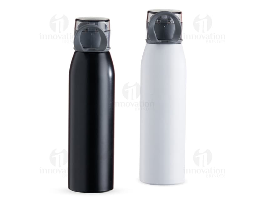 Garrafa Inox 650ml na cor prata, com tampa de rosca e design moderno.