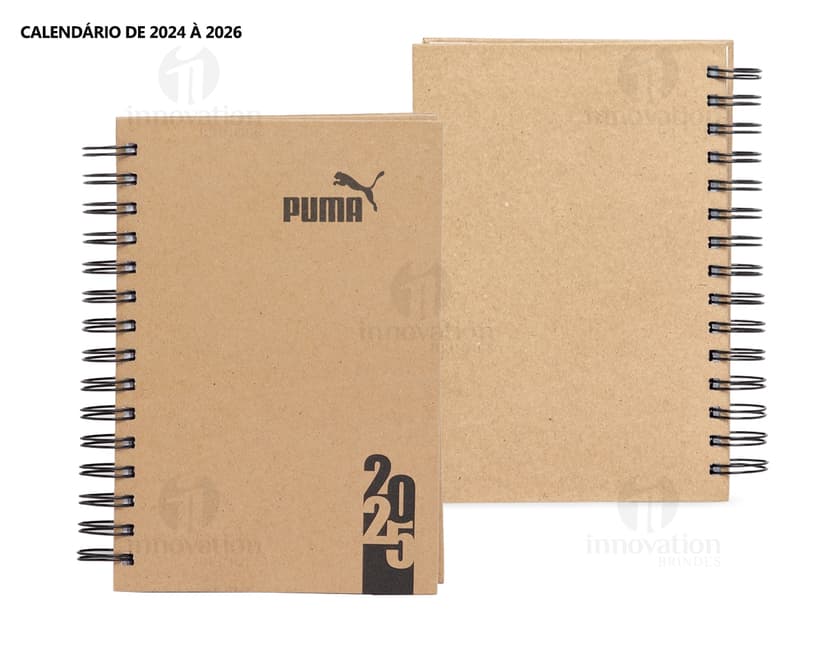 Foto de uma agenda diária para o ano de 2025, com capa marrom e textura de papel antigo. A agenda possui espiral, páginas em branco, listras amarelas e detalhes vintage. No fundo, um quadro antigo e desgastado complementa a composição.